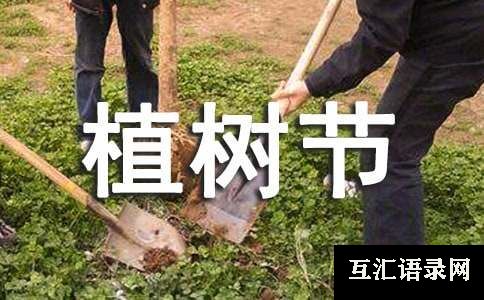 幼儿园植树节活动总结小班