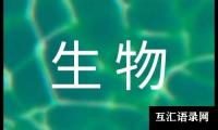 关于六年级下学期语文教学工作总结