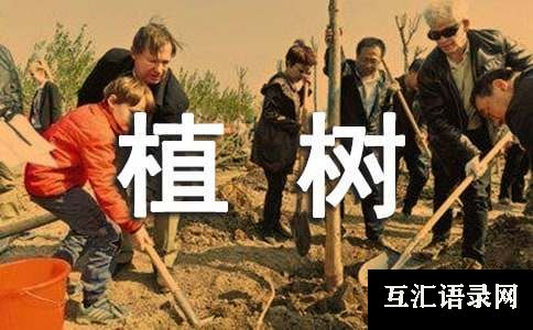 植树二年级作文集合[15篇]