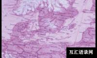 关于初一地理上期教学工作总结