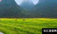 关于春游的四年级作文（精选）