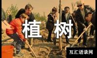 关于植树二年级作文集合[15篇]