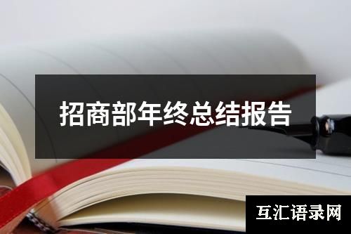 招商部年终总结报告