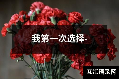 我第一次选择-