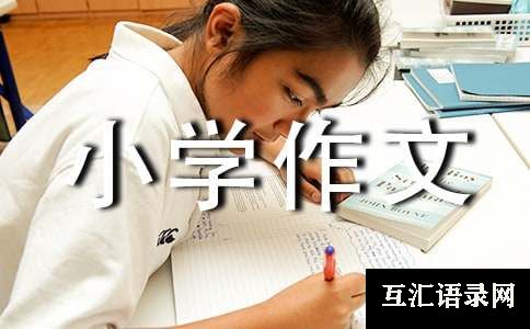 我们的小学作文(15篇)