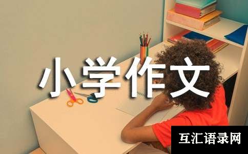 新型玻璃小学作文