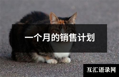 一个月的销售计划