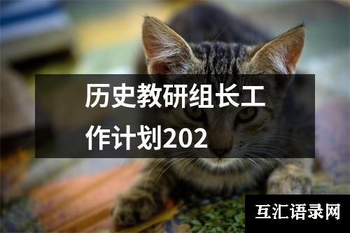 历史教研组长工作计划202
