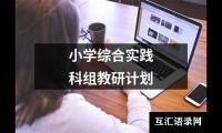 小学综合实践科组教研计划