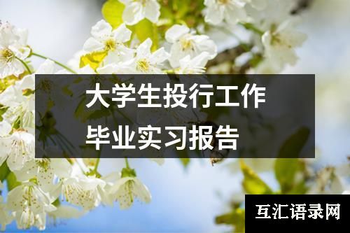 大学生投行工作毕业实习报告