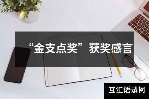 “金支点奖”获奖感言