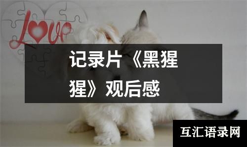 记录片《黑猩猩》观后感