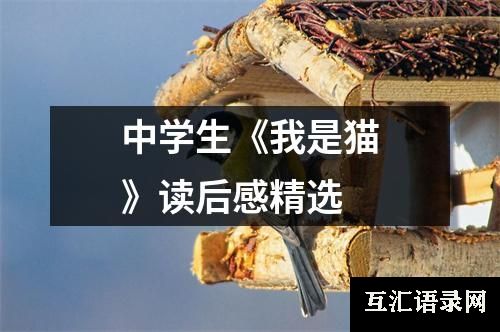中学生《我是猫》读后感精选