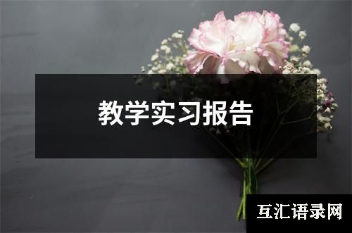 教学实习报告