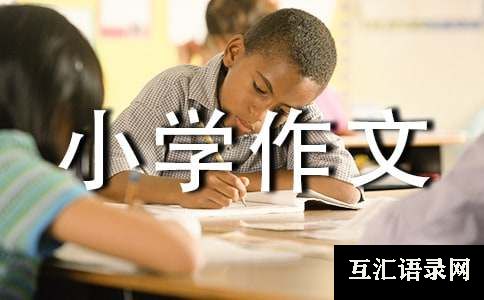 团圆小学作文七篇