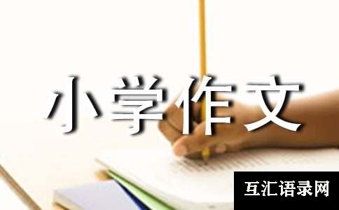 精选书包小学作文合集9篇