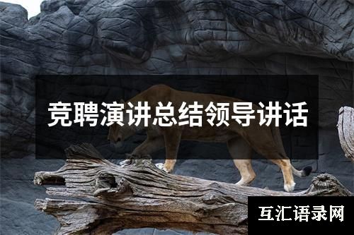 竞聘演讲总结领导讲话