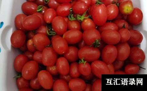 有关小班认识水果教案3篇
