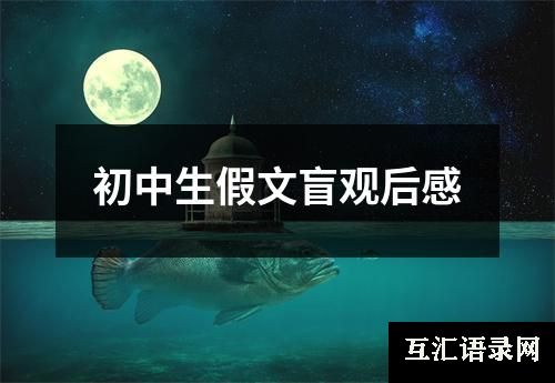 初中生假文盲观后感