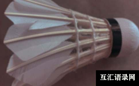 学打羽毛球周记