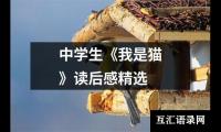 中学生《我是猫》读后感精选