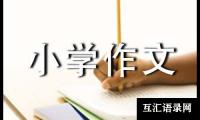 关于精选书包小学作文合集9篇