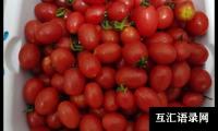 关于有关小班认识水果教案3篇