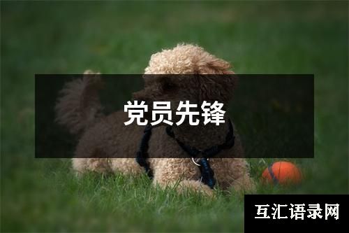 党员先锋