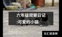 六年级观察日记:可爱的小猫