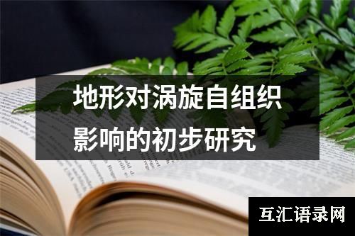地形对涡旋自组织影响的初步研究