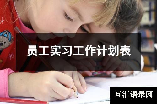 员工实习工作计划表