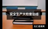 安全生产大检查总结