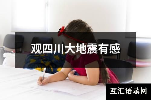 观四川大地震有感