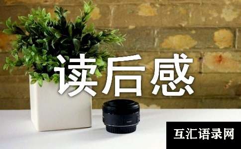 《迷羊》读后感