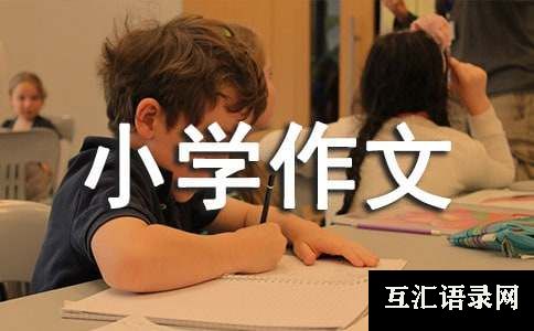 精选小学作文400字合集10篇