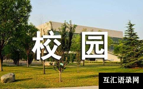 关于校园安全主题活动总结