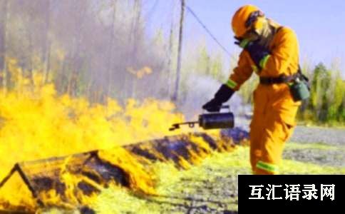 “119”消防宣传周活动总结