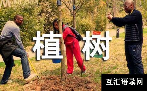 植树二年级作文合集[4篇]