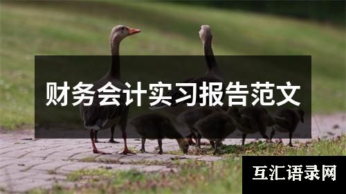 财务会计实习报告范文