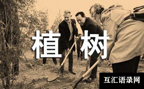 植树二年级作文[汇编4篇]