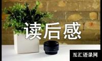 关于《迷羊》读后感