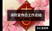 消防宣传日工作总结