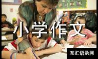 关于小学作文300字合集九篇