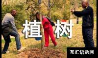 关于植树二年级作文合集[4篇]