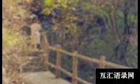 关于初中生爬山日记
