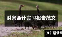 财务会计实习报告范文