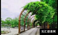 关于游公园小学作文合集7篇