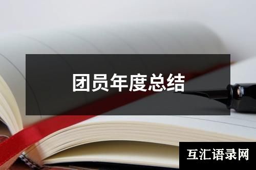团员年度总结