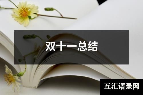 双十一总结