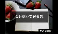 会计毕业实践报告